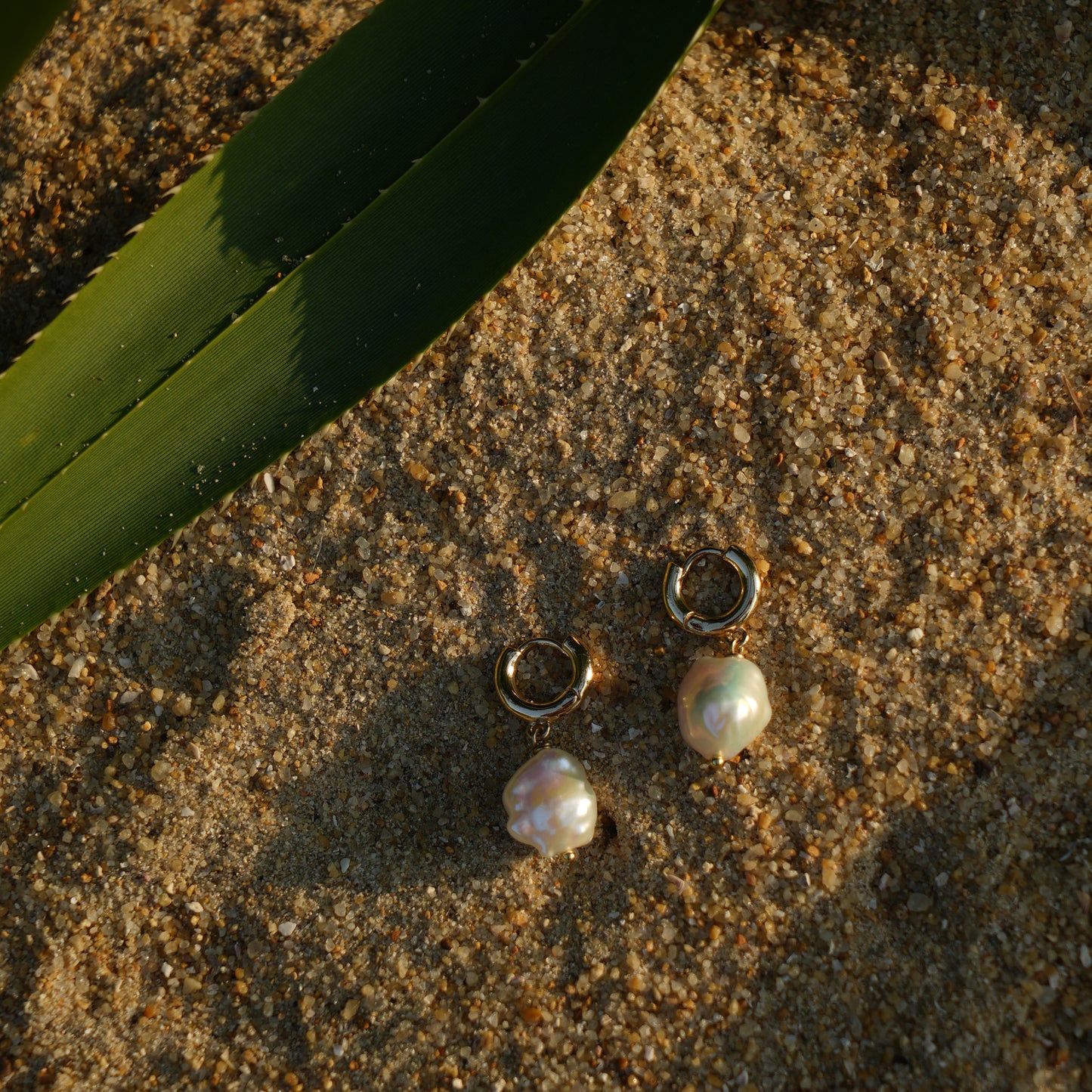 BARO Earrings